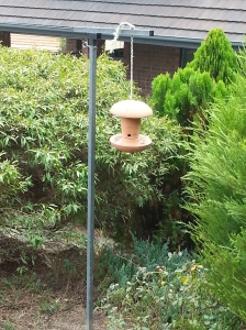 Simple bird feeder for the frontyard.